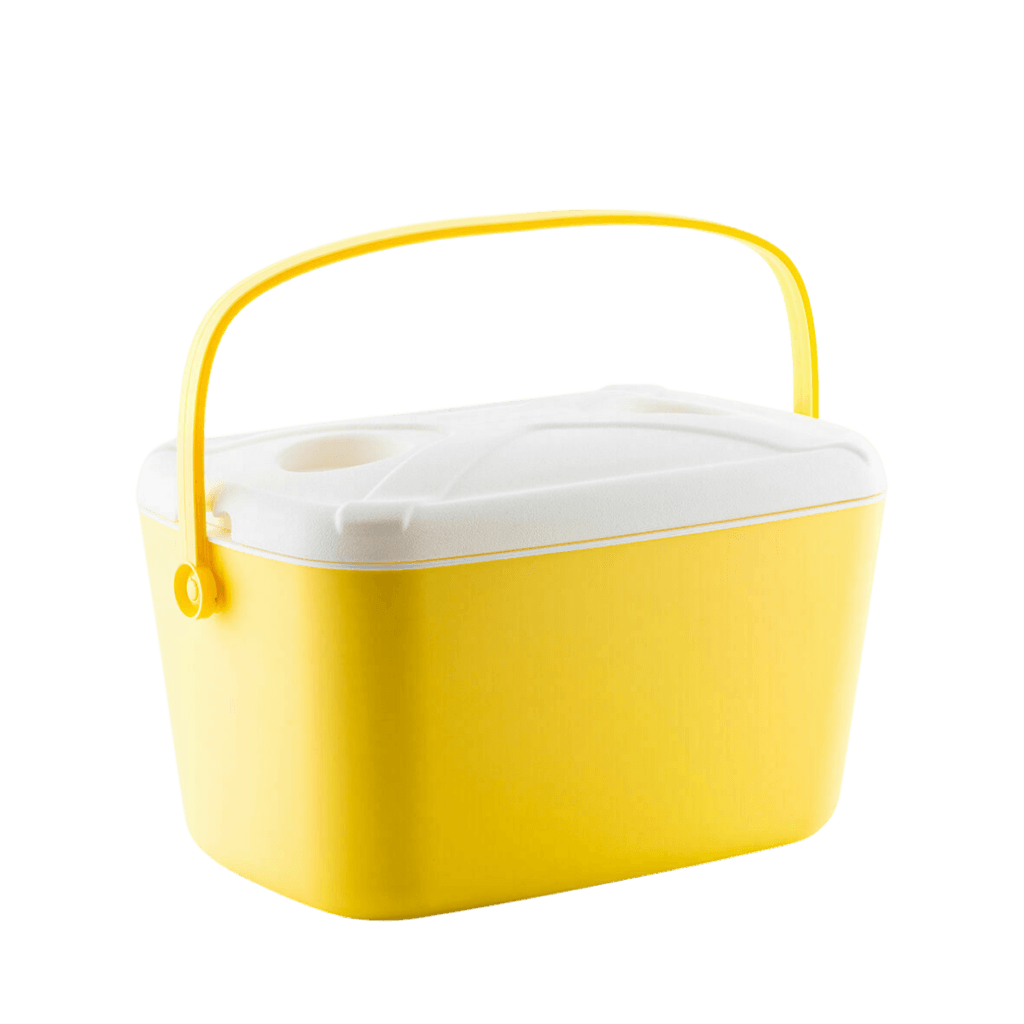 Portable Rigid Cooler Lilty InnovaGoods 15 L