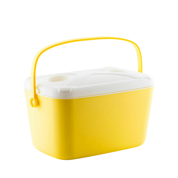 Portable Rigid Cooler Lilty InnovaGoods 15 L